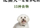 狗狗的最爱（满足你宠物的味蕾，这六种食物绝对不能错过）