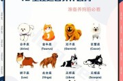 选择适合初学者的养狗品种（简单易养的狗狗推荐）