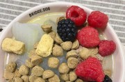 小狗生完宝宝后的饮食需求（为新生幼犬提供营养的关键）