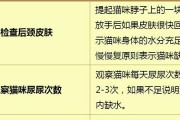 解决猫咪不爱喝水的问题的4种简单方法（让你的猫咪远离缺水疾病，健康快乐地生活）