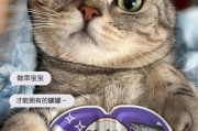 猫咪是否有必要吃罐头？（频率、数量和喂食目的的重要性）