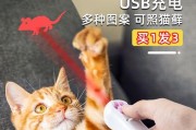 为何猫喜欢抓激光？（探究猫咪对激光追逐的狂热）