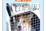 狗狗托运（详解狗狗托运所需填写的表格和文件要求）