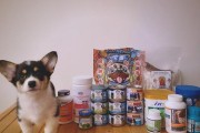 柯基犬毛质粗糙暗淡，如何美毛呢？（让你的柯基犬拥有柔顺亮丽的毛发）