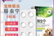 狗狗的常见寄生虫及预防方法（了解狗狗身体内的常见寄生虫，保护它们的健康）