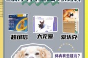 狗狗的寿命（探索影响狗狗寿命的关键因素与饲养宝贝的健康秘籍）