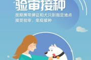 纽芬兰犬的饲养方法（关注营养健康，培养友好性格）