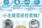 为什么仓鼠不自己洗澡？（探究仓鼠洗澡行为的原因与习性）