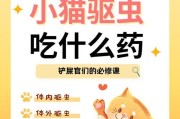 治疗猫咪绦虫的药物选择与使用方法（帮助猫咪摆脱绦虫困扰，关键在正确选用药物）