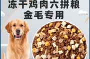 金毛宝宝没狗粮吃怎么办？（金毛宝宝的饮食补给和替代品）
