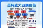 狗狗疫苗第一针的有效期及重要性（了解狗狗疫苗第一针的保护时间和预防措施）