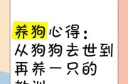 小狗死后多久可以养狗？（了解适当的等待期和新的开始）