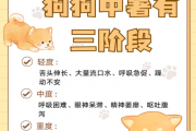 如何判断宠物是否中暑？哪些狗狗更容易中暑？