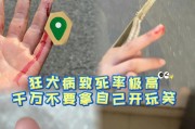 狗的狂犬病症状详解（探索狗的狂犬病症状与防治方法）