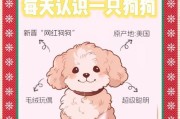 泰迪狗为什么喜欢添人脚？（探究泰迪狗添人脚行为的原因及其意义）