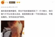 探秘猫咪洗澡的深度恐惧（铲屎官如何正确克服猫咪对洗澡的恐惧？）