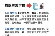 猫仔为什么会呼吸急促？（探究猫仔呼吸急促的原因和应对方法）