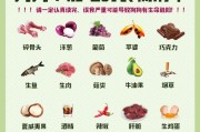 狗狗不能吃的27种食物（了解这些食物，保护你的爱犬健康）