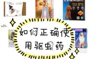 狗吃打虫药的反应是什么？（了解狗犬食用打虫药后的反应，保障宠物健康）