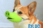 预防狗狗咬人悲剧发生的关键-嘴套（保护人与狗的安全，选择正确的嘴套）