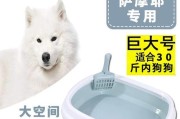 萨摩狗的排泄习性（了解萨摩狗的大小便时间与频率）