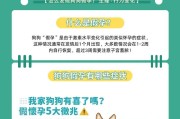 母狗生产后多久可以再次怀孕？（探讨母狗产后发情周期及再次怀孕时间）
