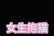 男生养猫的原因（揭秘男生与猫咪的特殊纽带）