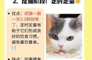 小猫吃牛肉需要煮多久？（煮牛肉的时间取决于小猫的年龄和健康状况）