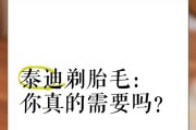 灰泰迪剃胎毛的最佳时间和方法（探讨灰泰迪剃胎毛的适宜时机及正确方式）