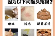 猫为什么会呕吐？（探究猫咪呕吐的原因与处理方法）