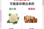 介绍: