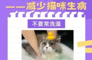 健康轻松养猫，只需做到4点！（为你的猫咪打造健康生活，让它少生病、活得更长久）