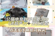 猫咪绝育费用及检查详解（了解绝育手术前的费用和必要检查）