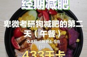 狗主人应该给宠物狗提供哪些食物？（为宠物狗提供均衡和适当的饮食是保持其健康的关键）