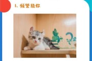 猫能生几个小猫？（探究猫的繁殖能力和繁殖周期。）