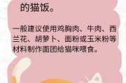 如何让猫眼睛亮起来（以食物为媒介，呵护猫咪的眼睛健康）