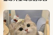 猫咪的水需求量究竟是多少？（揭秘猫咪饮水量的真相，知道这些你就能更好地照顾它们！）