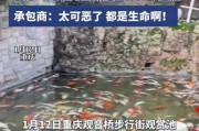 观赏鱼患病与传染性（探究观赏鱼患病对其他鱼类的传染性及其来源）