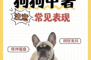 狗受凉症状解析（了解狗受凉的症状和应对方法）