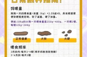 以泰迪饭后要活动多久？（了解泰迪犬饭后运动需求，提升健康生活质量）