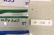 细小病犬康复洗澡时间探究（狗狗细小康复过程中合适洗澡的时间以及注意事项）