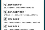 五斤狗粮能维持狗狗多久的饮食需求？（以五斤狗粮为基准，揭秘狗狗饮食的持续时间和关键营养素）