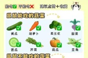 新手养仓鼠的完全指南（从零开始，教你如何照顾宠物仓鼠）