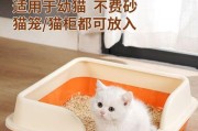 小奶猫的猫砂选择（解析小奶猫使用猫砂的需要和适合的选择）