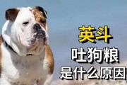 探究狗狗吐狗粮的原因（狗粮吐出来的原因及解决方法）