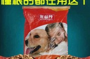 小比特的健康饮食秘诀（了解小比特的膳食需求，选择适合的狗粮）