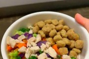 博美怀孕饮食指南（科学合理的饮食对博美怀孕至关重要）