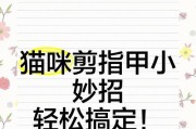 小猫剪指甲的时间及方法（掌握适宜的时间和正确的方法，让小猫舒适地剪指甲）