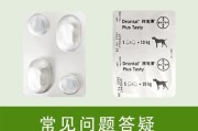 宠物犬体内驱虫周期多久一次？（了解驱虫周期的重要性及常见问题解答）
