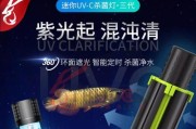 选择适合新鱼缸的消毒杀菌方法（保障鱼缸环境卫生，让宠物鱼健康成长）